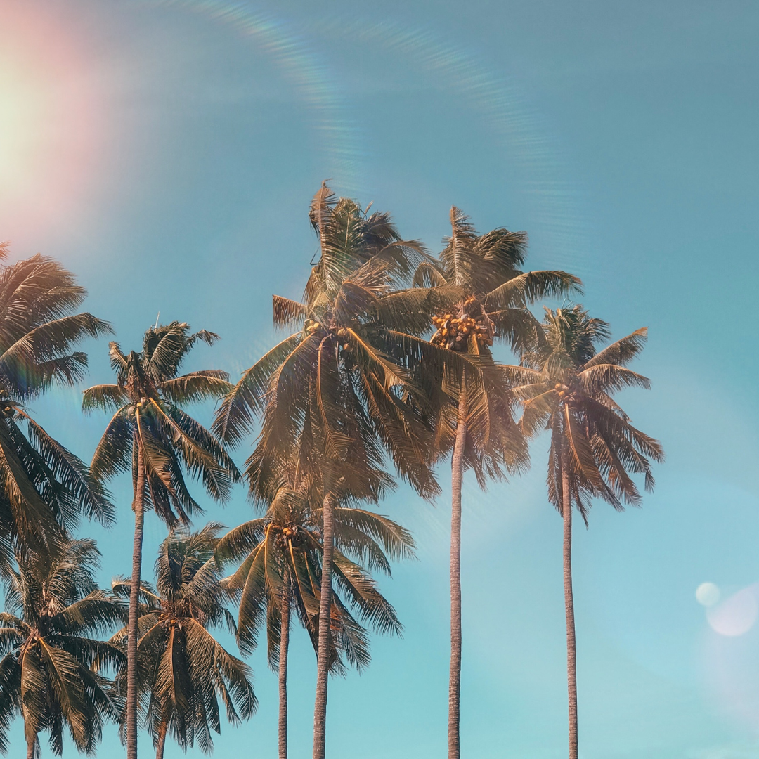 Coachella 2023 Mood Board by IVY Swimwear