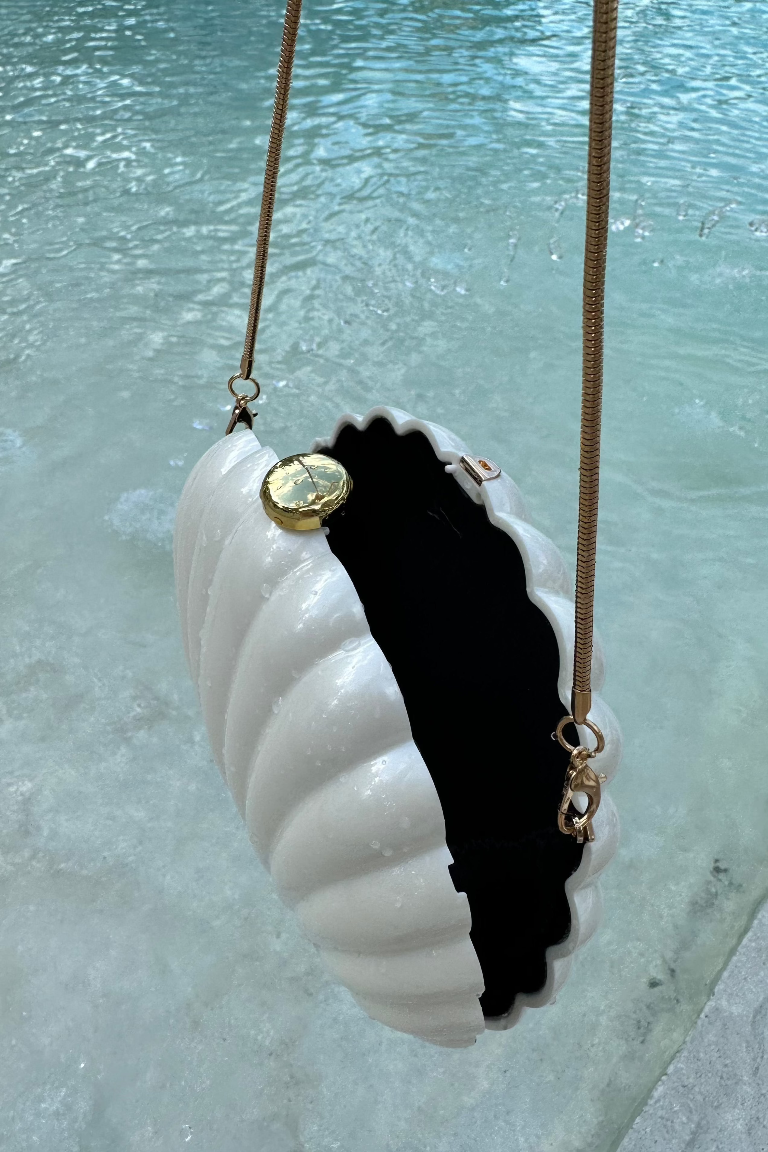 Seashell Purse