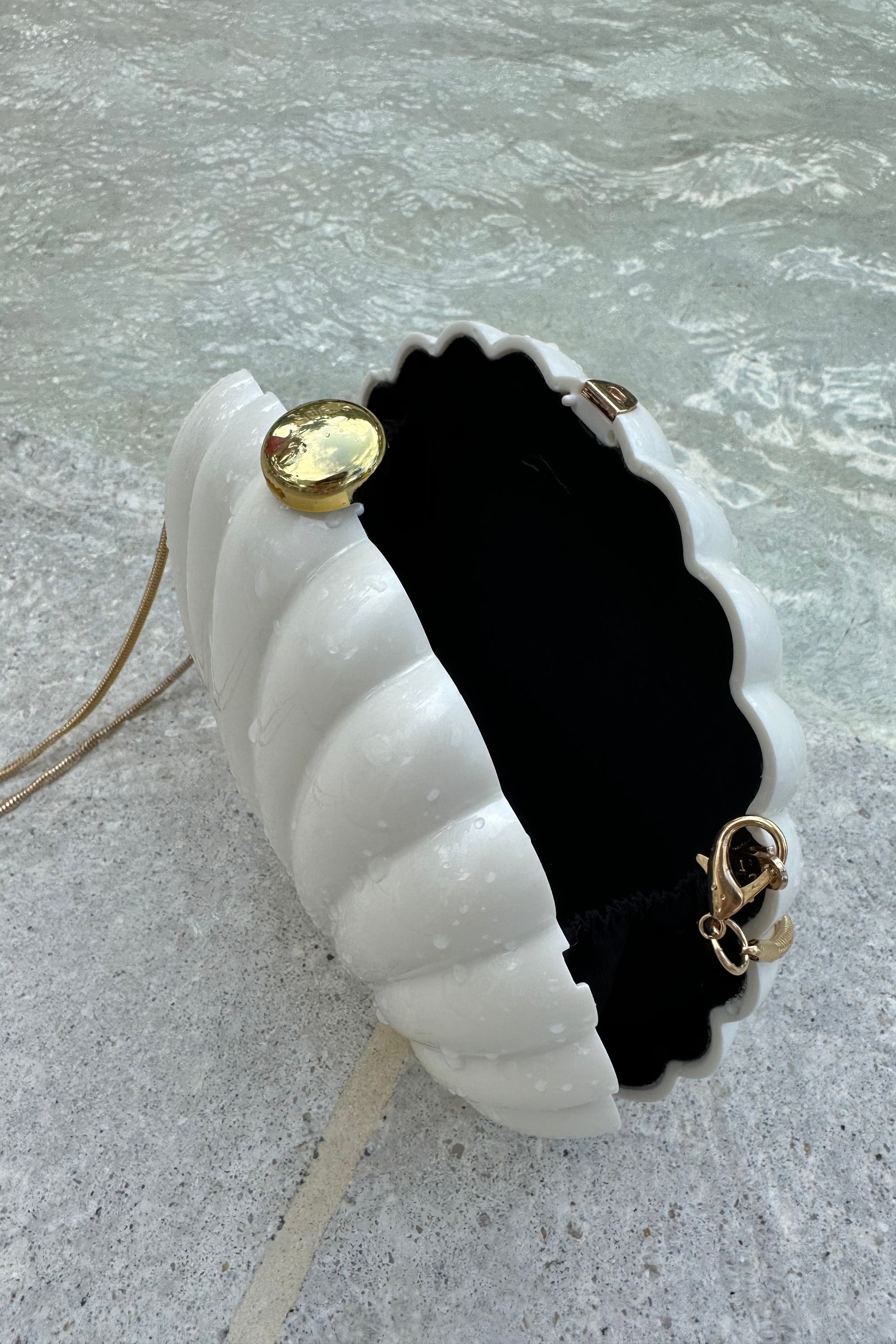 Seashell Purse
