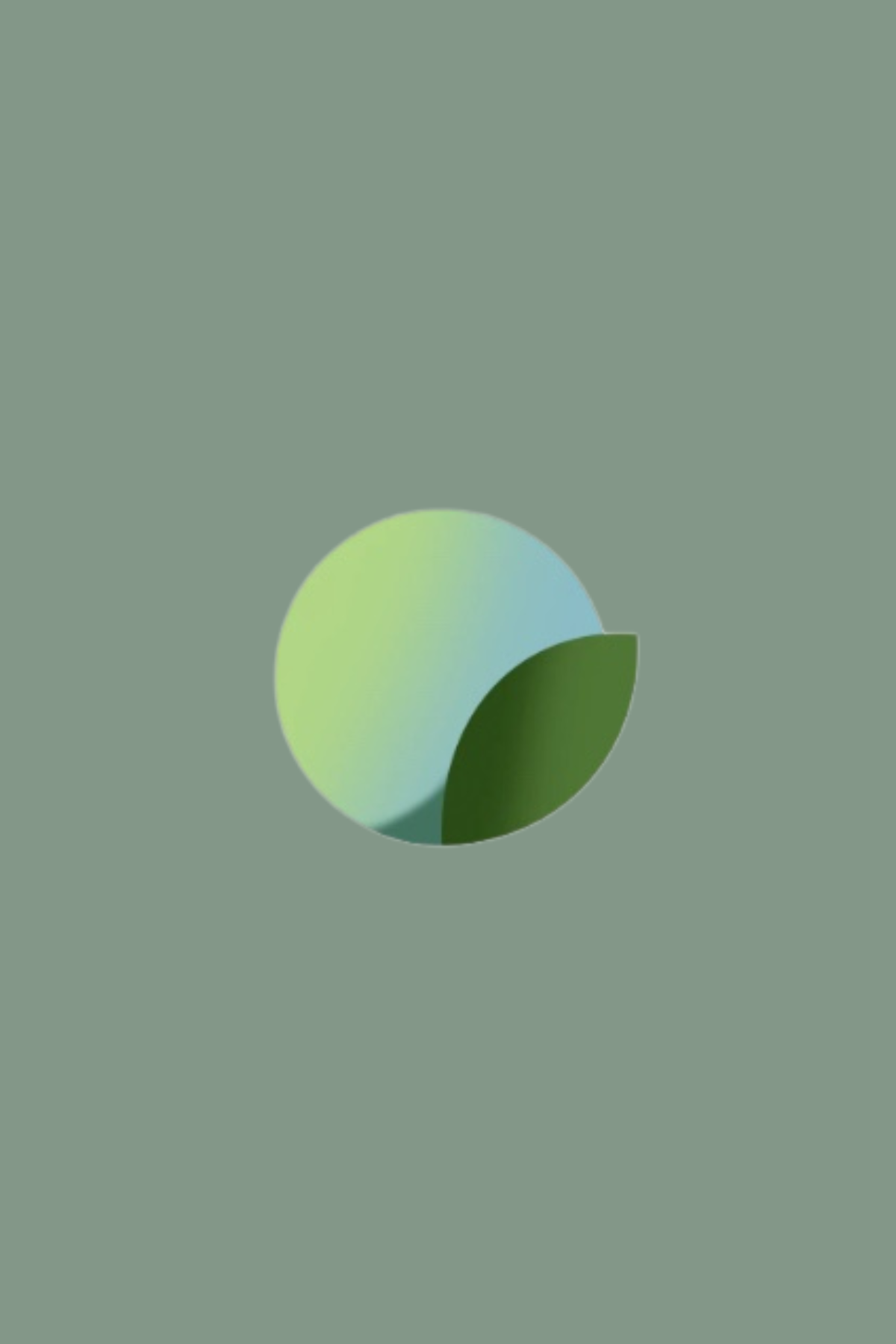 Support for groundbreaking carbon removal technologies.
