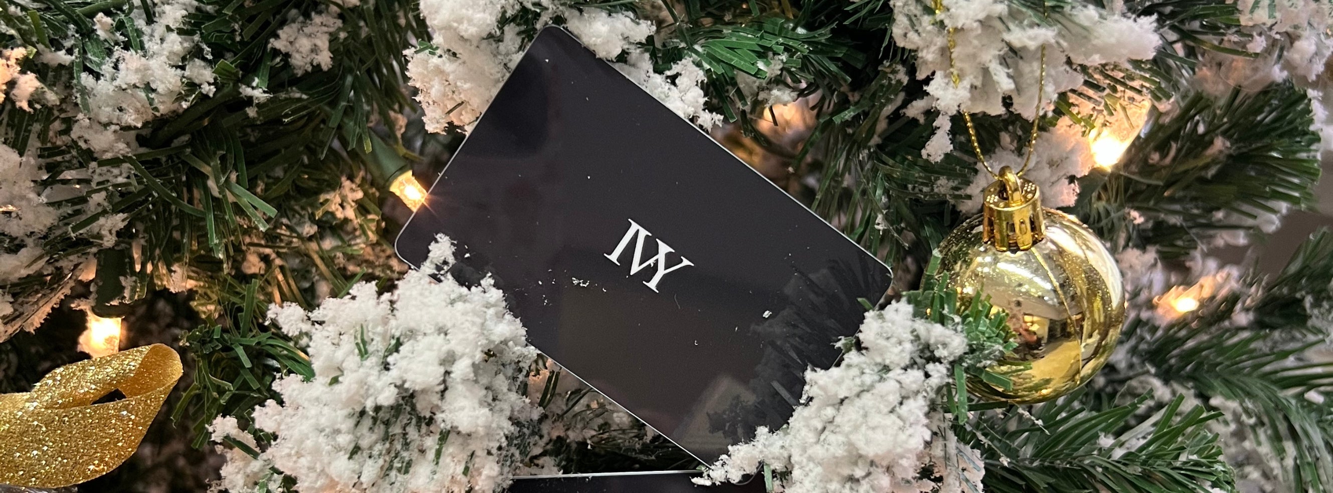 IVY'S 2024 HOLIDAY GIFT GUIDE