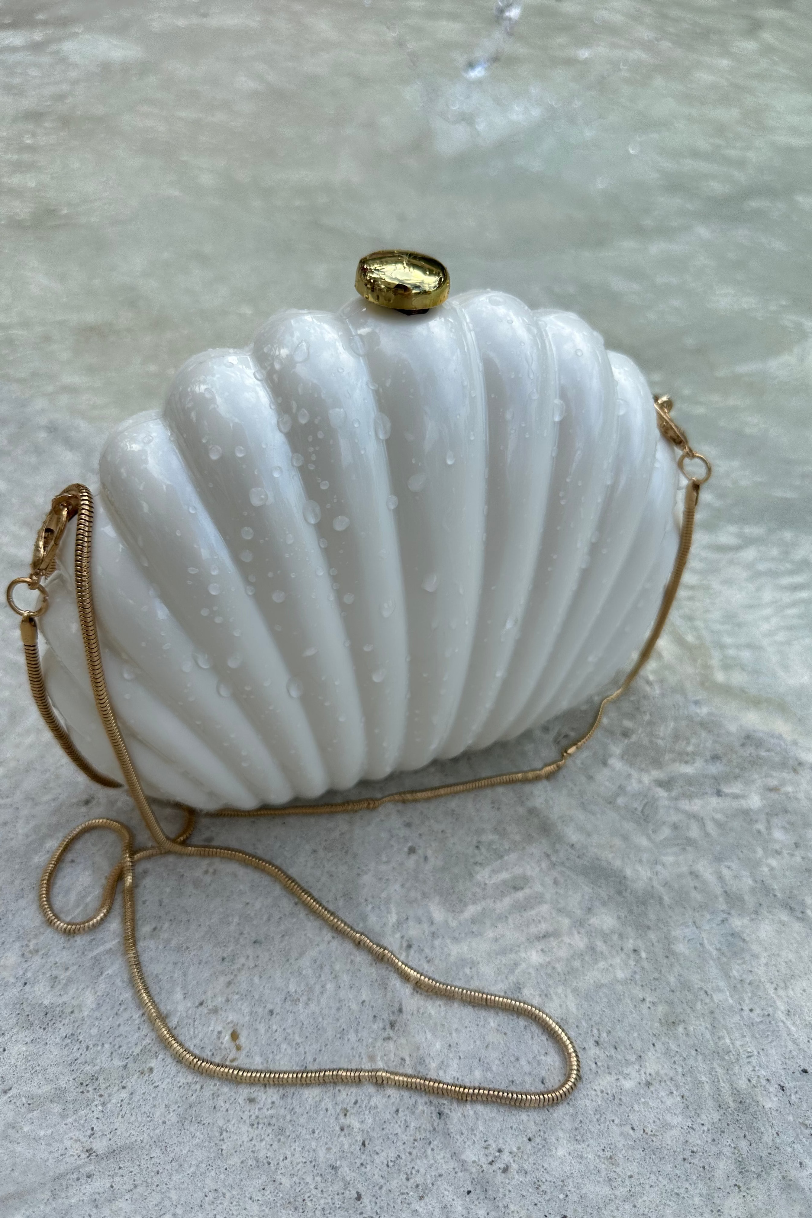 Seashell Purse