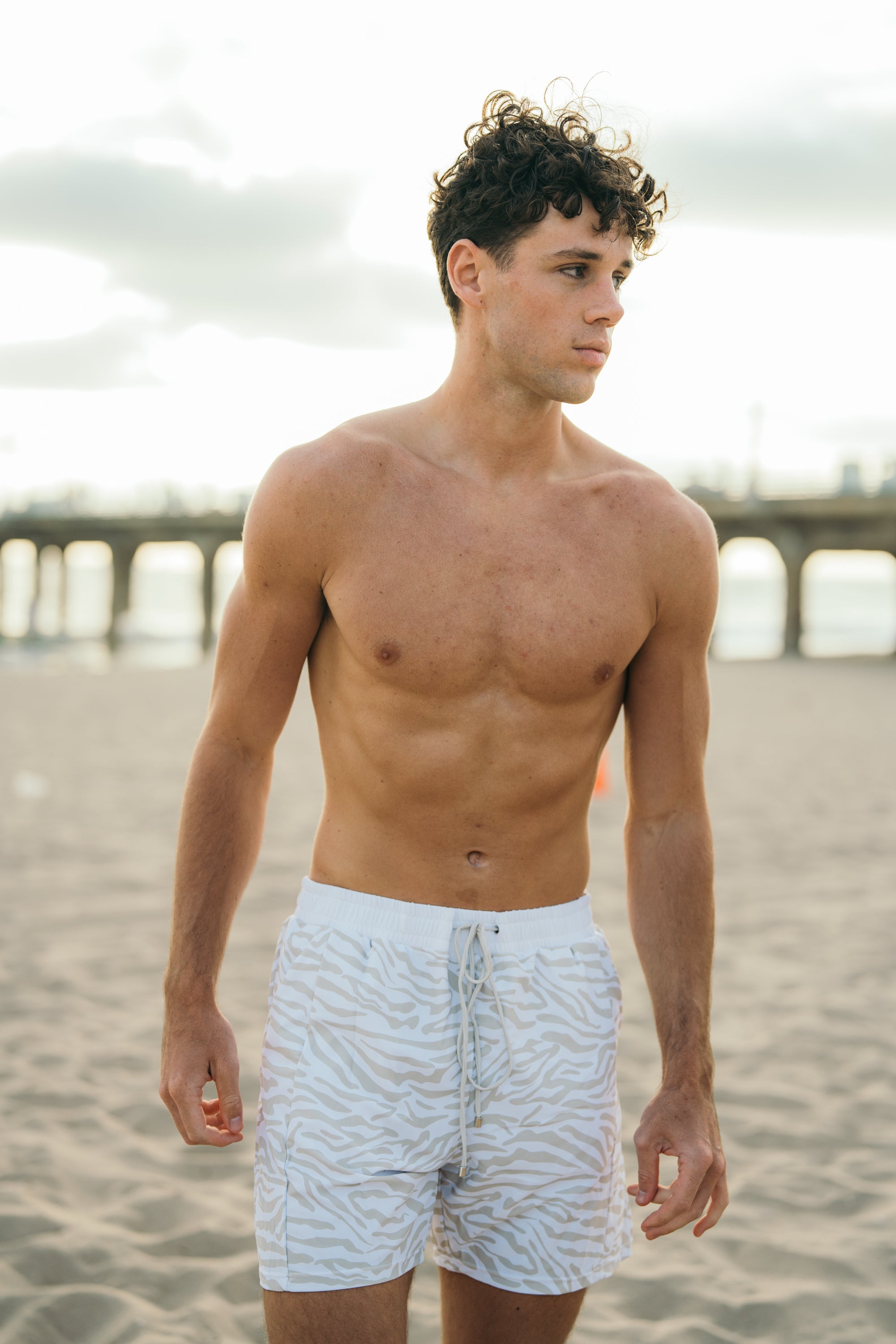 Iriso Zebra Shorts